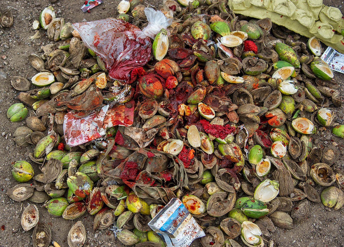 Betel Nut Ban in PNG  Brian Cassey Photographer Cairns Australia